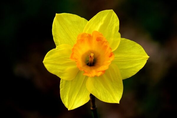 Výběr vhodné rekuperační jednotky: Typy a výkon