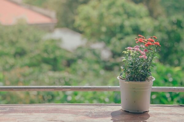 Designové digestoře pro moderní interiéry: Estetika a integrace