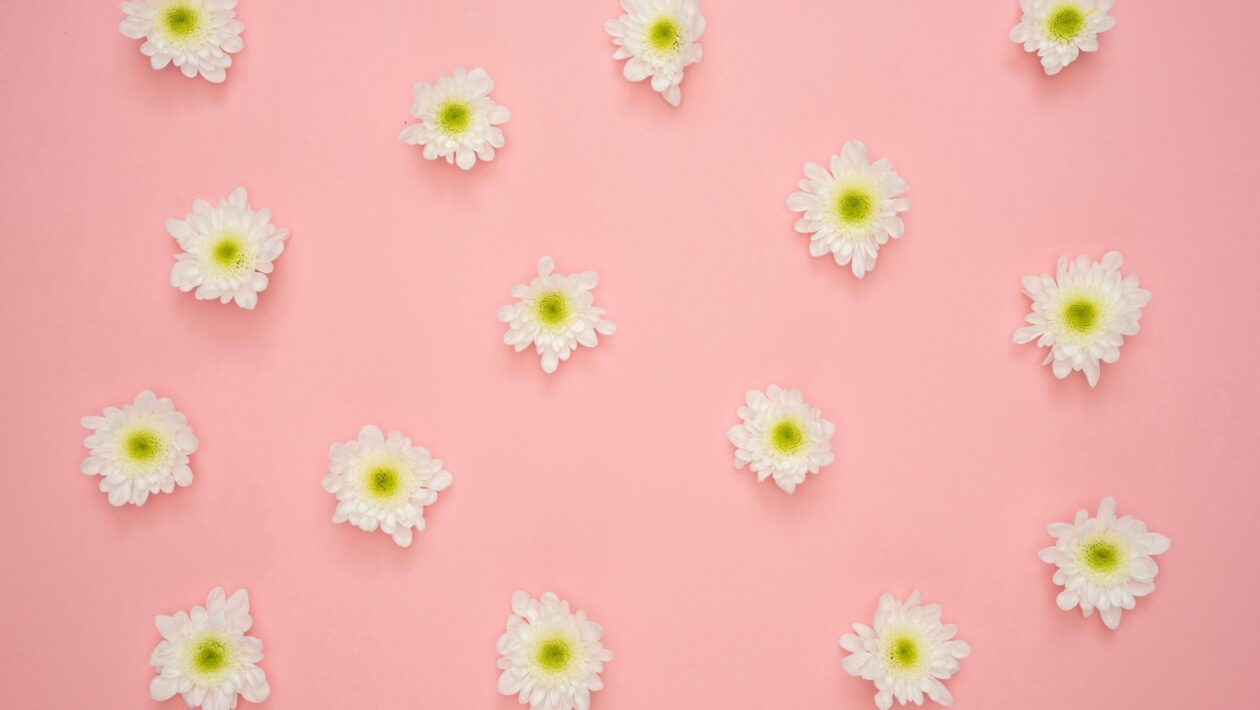 Ergonomický návrh domácí kanceláře: Zdravé pracovní prostředí