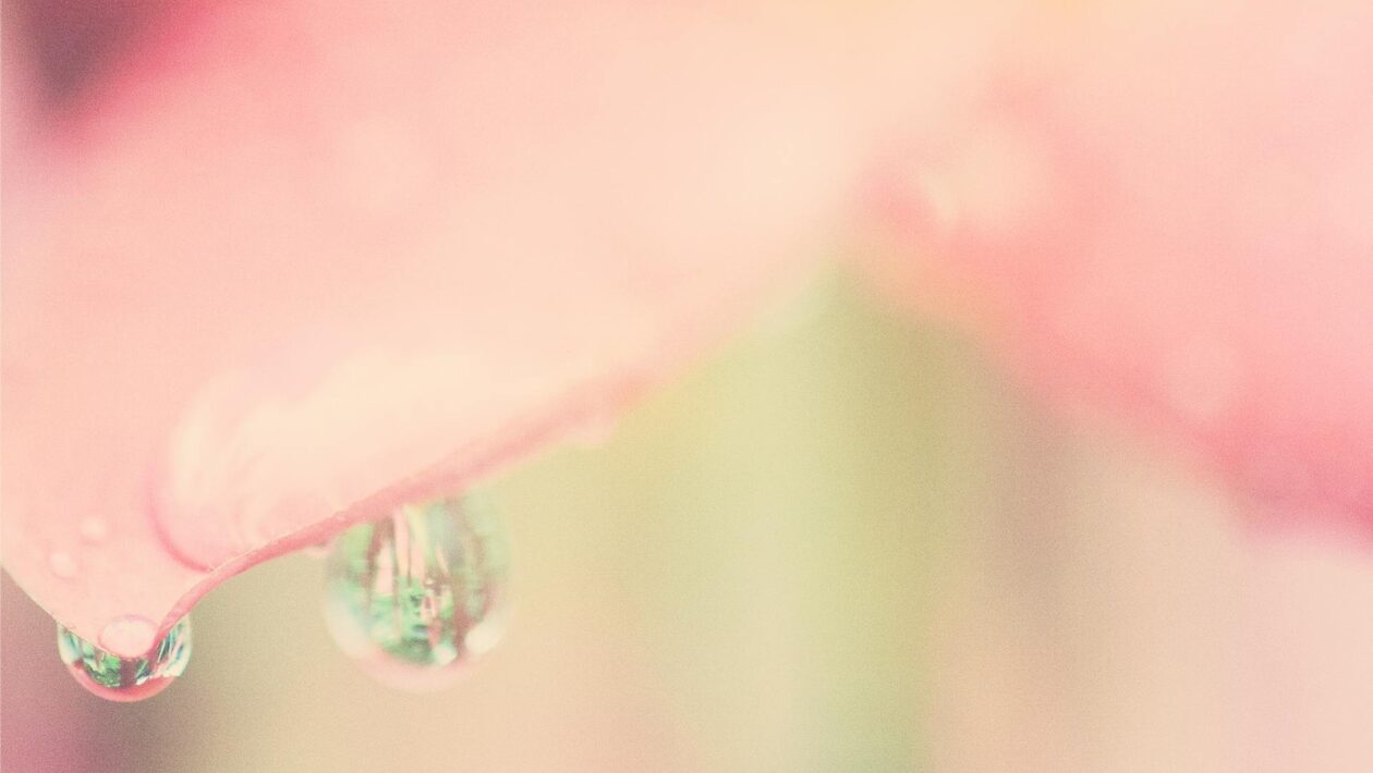 Ergonómia a kabeláž serverových rackov: Organizácia a správa dátových centier