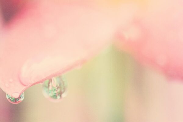 Ergonómia a kabeláž serverových rackov: Organizácia a správa dátových centier