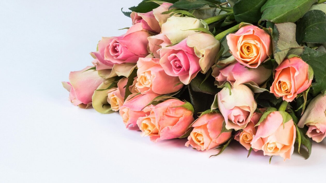 Úložné a odkládací systémy v zádveří: Organizace prostoru