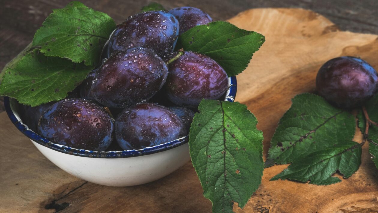 Typy prístreškov: Konštrukčné riešenia pre automobily, bicykle a terasy